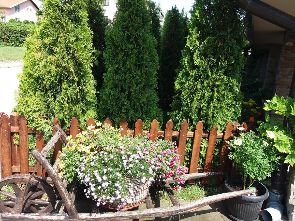 Centar! Masa Zlatibor Apartment Екстериор снимка